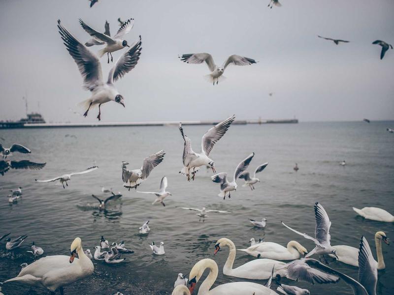 sudoku device transfer screenshot 1